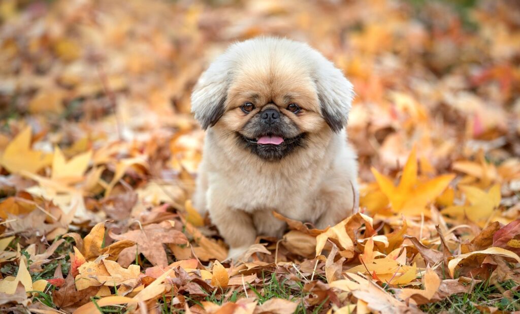 熟年離婚に必要な生活資金はいくら？