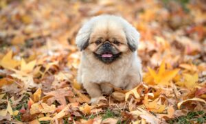 熟年離婚に必要な生活資金はいくら？