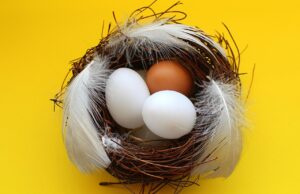 熟年離婚後の専業主婦が考えるべき生活費の見直しポイントは？