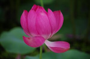 熟年離婚後の引っ越しで単身生活を始める高齢者に必要な準備は？